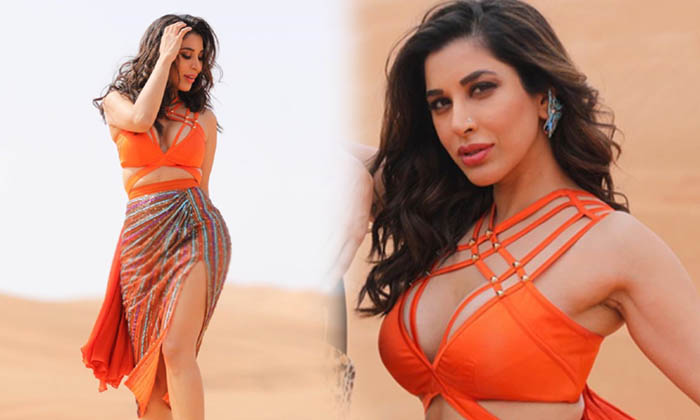 Sophie Choudry Hot Photos -  Sophie Choudry Hot Photos Tollywood Hot And Spicy Actress Images And Clips Seen Telugustop- High Resolution Photo