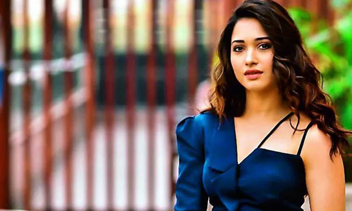  Tamannaah Opens Up On New Phase In Her Career, Tollywood, South Cinema, Bollywoo-TeluguStop.com