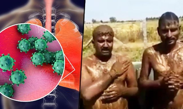  Cow Dung Bath Cures Coronavirus Was A Fake News-TeluguStop.com