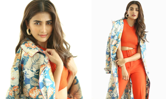 Glamorous Pictures For Pooja Hegde -  Glamorous Pictures For Pooja Hegde Tollywood Actress Latest Images Seen Telugustop High Resolution Photo