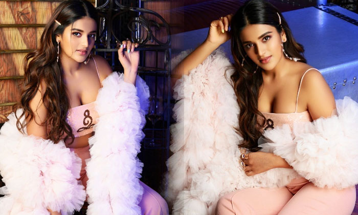 Glamorous Pictures Of Nidhhi Agerwal - Tollywood Actress Glamorous Pictures Of Nidhhi Agerwal-telugu Actress Photos Gla High Resolution Photo