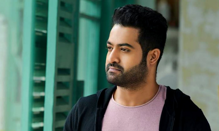  Ntr To Romance Alia Bhatt And Pooja Hegde-TeluguStop.com