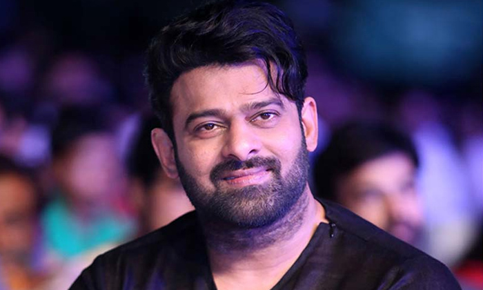  Prabhas 20 May Not Hit In 2020-TeluguStop.com