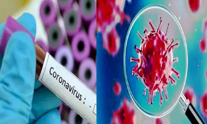  14 Corona Positive Cases In West Godavari District, Covid-19, Corona Effect, Loc-TeluguStop.com