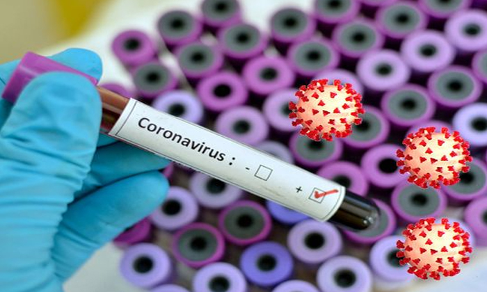  35 New More Cases Diagnosed In Andhra Pradesh   Corona Virus, Ap, Kurnool, Guntu-TeluguStop.com