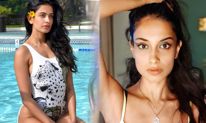 Actress Sarah Jane Dias Hot Images-telugu Actress Photos Actress Sarah Jane Dias Hot Images - Actresssarah Sarahjane High Resolution Photo