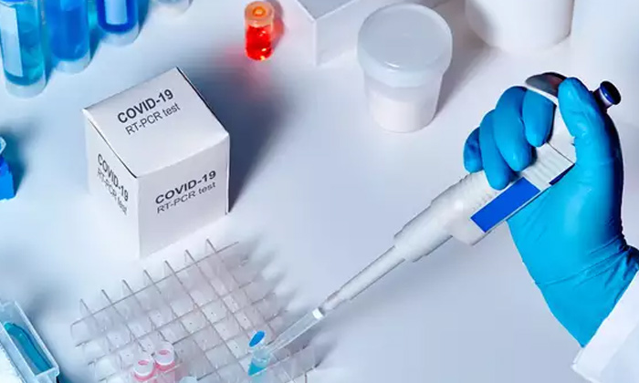  Coronavirus, Corona Vaccine, Tb Vaccine, Bcg, Newyork-TeluguStop.com