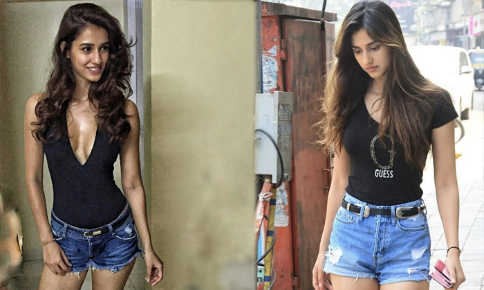 Disha Patani Glamours Photos-telugu Actress Photos Disha Patani Glamours Photos - Dishapatani High Resolution Photo