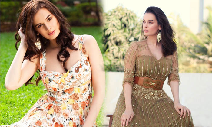 Evelyn Sharma Glamorous Images-telugu Actress Photos Evelyn Sharma Glamorous Images - Evelynsharma Glamoursactress High Resolution Photo