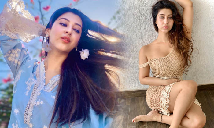 Gorgeous Sonarika Bhadoria Images-telugu Actress Photos Gorgeous Sonarika Bhadoria Images - High Resolution Photo