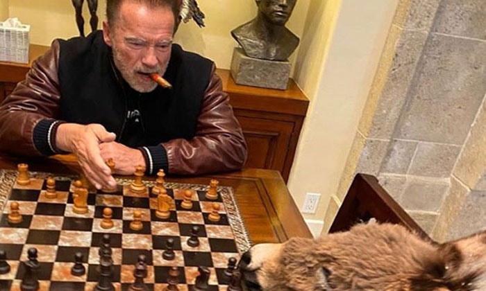  Hollywood Superstar Chess Game With Donkey In Home Quarantine, Tollywood, Bollyw-TeluguStop.com