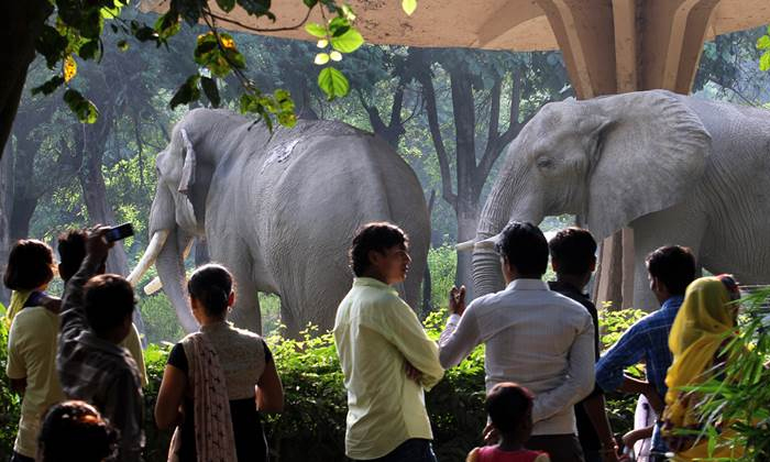  Indian Zoo Officials Give The Instruct Not To Spread The Corona Virus To Annimal-TeluguStop.com