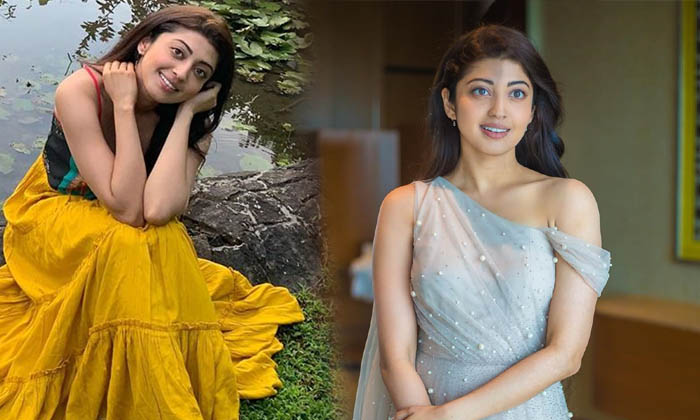 Pranitha Subhash Latest Photos -  Tollywood Glamorous Actress Pranitha Subhash Latest Photos-telugu Actress Photos Prani High Resolution Photo