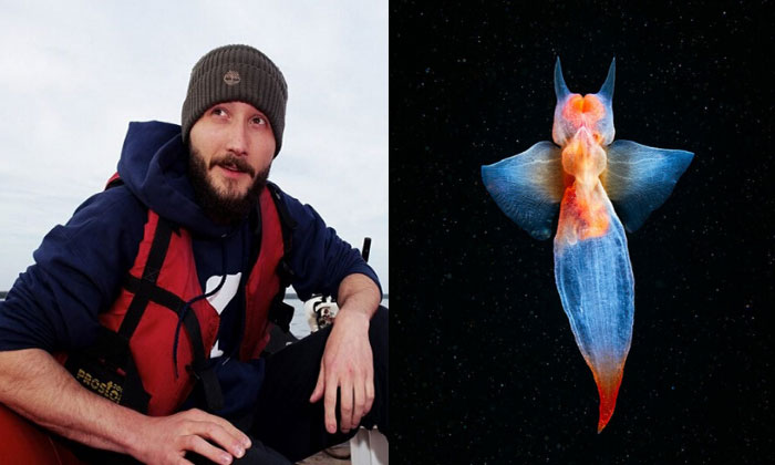  Russian Marine Biologist Clicks Pictures Of A Sea Angel, Sea Angels-TeluguStop.com