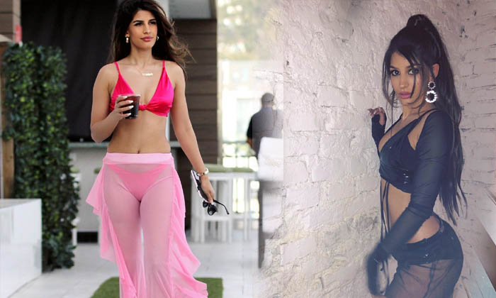 Stunning Pictures Of Jasmin Walia-telugu Actress Photos Stunning Pictures Of Jasmin Walia - Actressjasmin Janhvi Kapoo High Resolution Photo