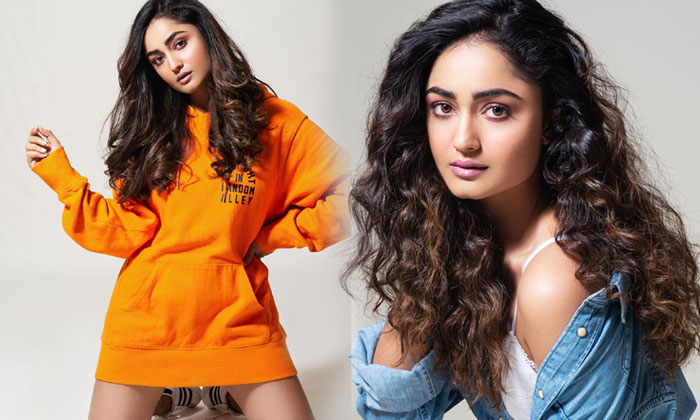 Tridha Choudhury Beautiful Images-telugu Actress Photos Tridha Choudhury Beautiful Images - Actresstridha Bollywoodtrid High Resolution Photo