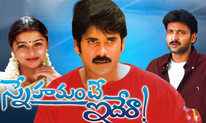  Akkineni Sumanth, Tollywood Hero, Akkineni Nagarjuna, Snehamante Idera, Balaseka-TeluguStop.com