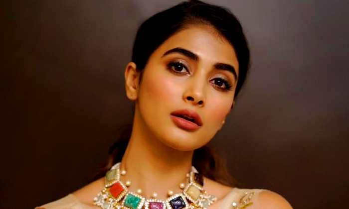  Pooja Hegde Clarifies Dating Rumours Pooja Hegde, Dating, Bollywood Actor, Pra-TeluguStop.com