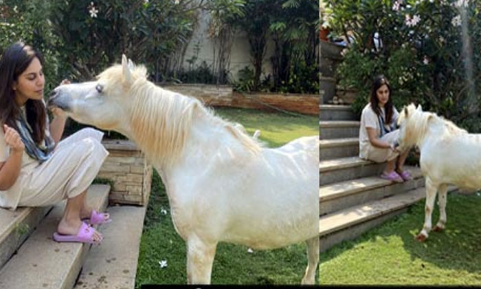  Upasana Tweet On Spend Time With Animals In Lock Down, Tollywood, Ram Charan, Co-TeluguStop.com