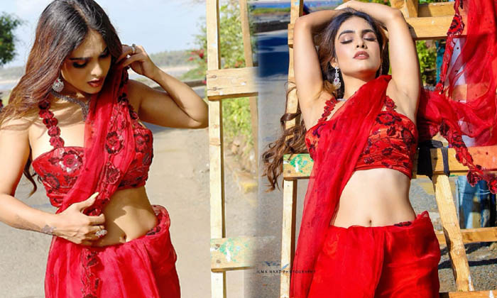 Punjabi Actor Neha Malik Awesome Poses In Red Netted Saree -  Punjabi Actor Neha Malik Awesome Poses In Red Netted Saree High Resolution Photo