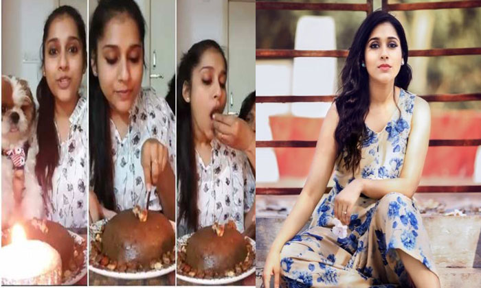  Anchor Rashmi Birthday Celebration With Her Doggy Friend, Tollywood, Telugu Cine-TeluguStop.com