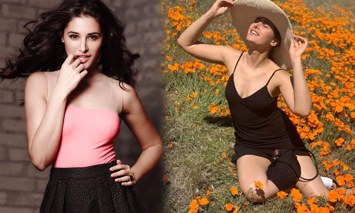 Nargis Fakhri Sizzling Images-telugu Actress Photos Nargis Fakhri Sizzling Images - Actressnargis Nargisfakhri High Resolution Photo