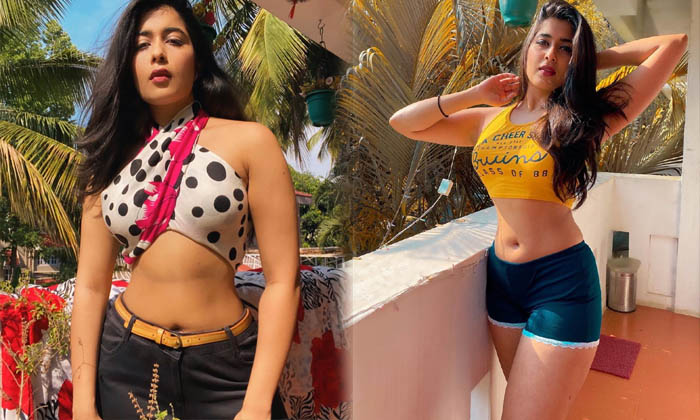 Nikita Sharma Glamorous Photoshoot-telugu Actress Photos Nikita Sharma Glamorous Photoshoot - Actressnikita Nikitasharm High Resolution Photo