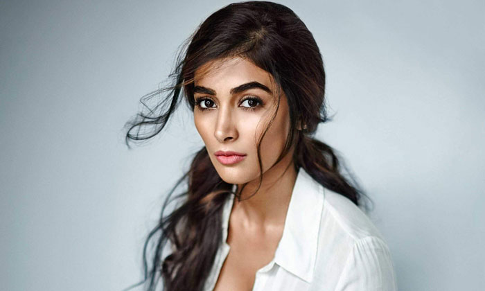  Pooja Hegde Instagram Account Hacked, Tollywood, Bollywood, South Cinema, Celebr-TeluguStop.com