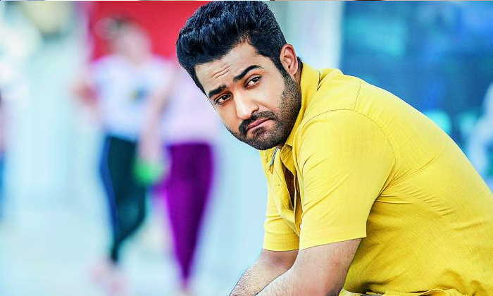  Pranitha Appreciate The Ntr Fans About Distribute The Daily Needs, Ntr, Tollywoo-TeluguStop.com