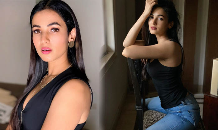 Sonal Chauhan Glamorous Images-telugu Actress Photos Sonal Chauhan Glamorous Images - Actresssonal Sonalchauhan High Resolution Photo