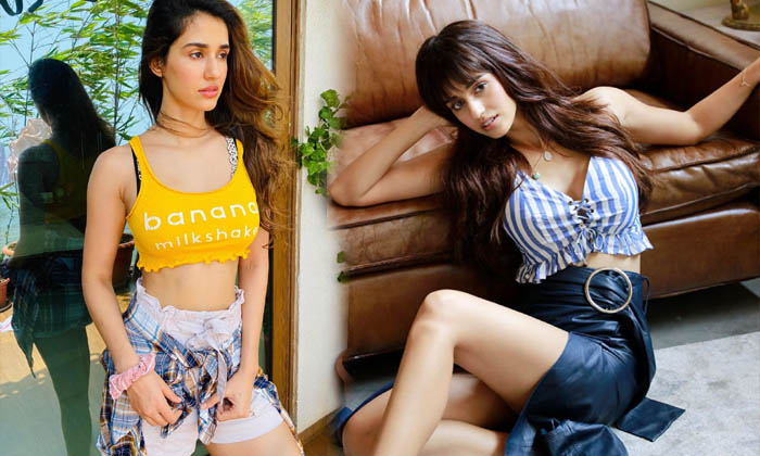 Stunning Actress Disha Patani Images -  Stunning Actress Disha Patani Images-telugu Actress Photos Stunning Actress Dish High Resolution Photo