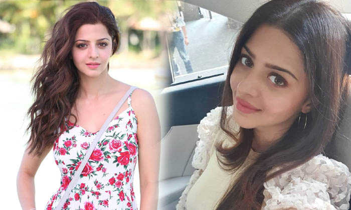 Vedhika Glamorous Photos-telugu Actress Photos Vedhika Glamorous Photos - Actress Latest Web High Resolution Photo