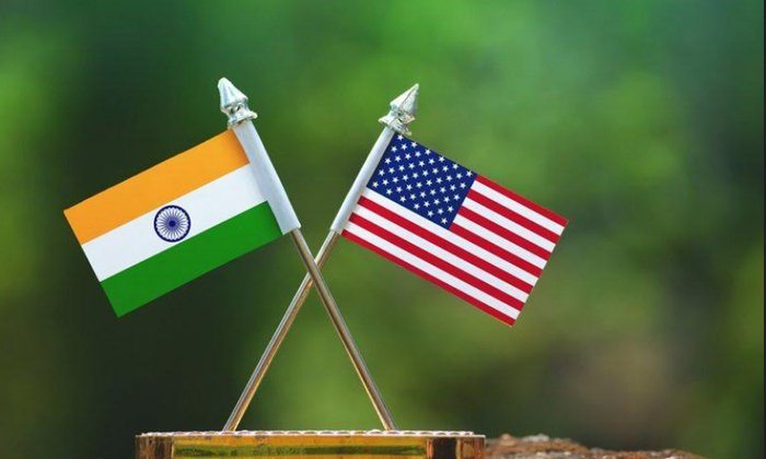 Telugu America, Coronavirus, Essential, Hb Vissa, Nris, Visa-Telugu NRI