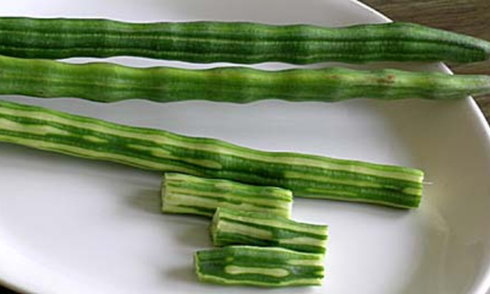  Is Drumstick Vegetable Increase Energy  Drumstick, Vegetables News, Health News,-TeluguStop.com