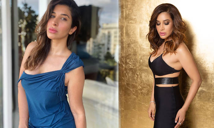 Sophie Choudry Glamorous Pics-telugu Actress Photos Sophie Choudry Glamorous Pics - Actress Latest Actresssophie Sophie High Resolution Photo