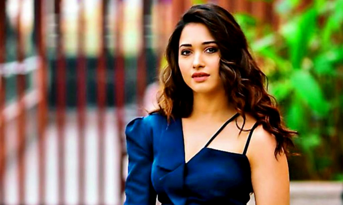  Tamannaah, Yash, Web Series, Seetimaar-TeluguStop.com