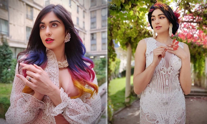 Actress Adah Sharma Romantic Clicks-telugu Actress Photos Actress Adah Sharma Romantic Clicks - Actressadah Adahsharma Photo,Image,Pics Actress Adah Sharma Romantic Clicks-telugu Actress Photos Actress Adah Sharma Romantic Clicks - Actressadah Adahsharma High Resolution Photo