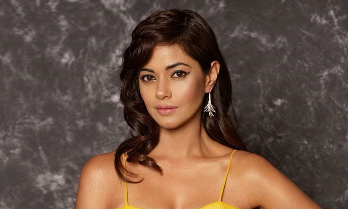  Actress Meera Chopra Fires On Jr Ntr Fans, Tarak, Jr Ntr, Tollywood,  Social Med-TeluguStop.com