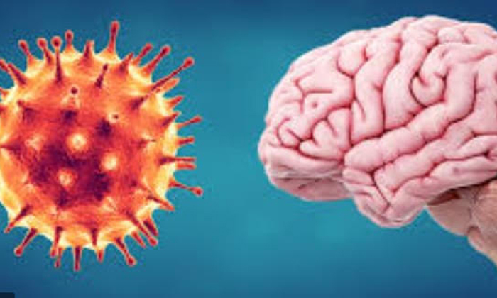  Deaths Are Caused By The Corona Goes Into The Brain, Coronavirus, Brain System,-TeluguStop.com
