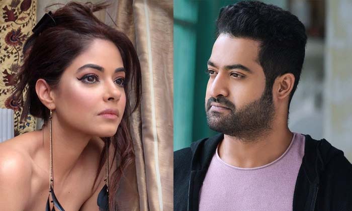  Ntr Fans, Meera Chopra, Jr Ntr, Ktr, Fans Warning, Cyber Crime-TeluguStop.com