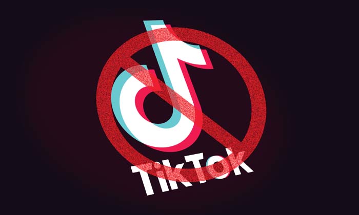  Nikhil Says Tiktok Should Not Banned, Nikhil, Tiktok, China App, Government Of I-TeluguStop.com