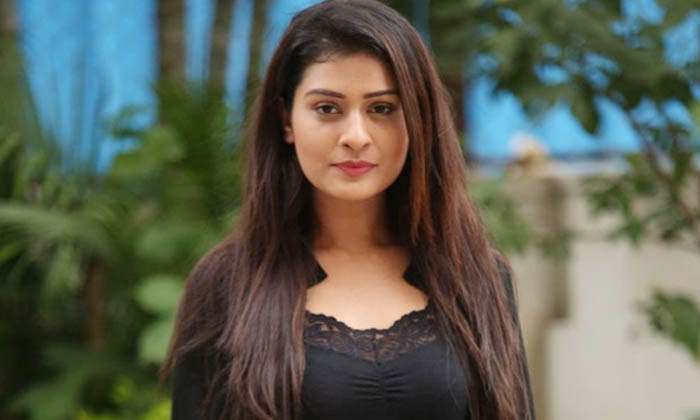  Payal Rajput, Telugu Heroine, Bold Character Offers, Rx100, Tollywood-TeluguStop.com