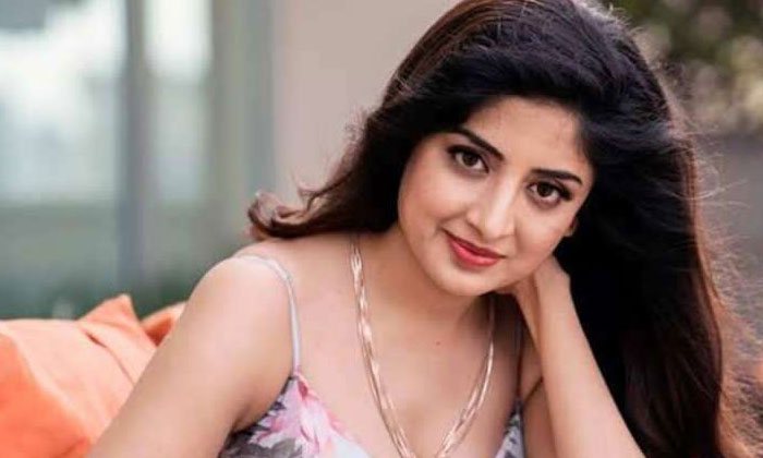  Poonam Kaur Comments On Meera Chopra Issue, Tollywood, Jr Ntr, Social Media, Tel-TeluguStop.com