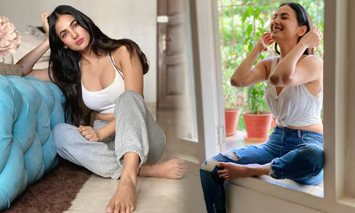 Sonal Chauhan Gorgeous Hot Images - Bollywood Television Actress Sonal Chauhan Gorgeous Hot Images-telugu Actress Photo High Resolution Photo