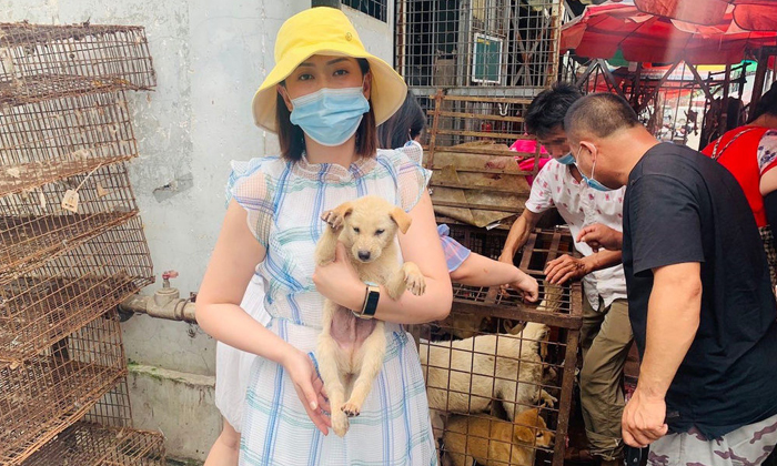  Yulin Dog Meat Festival In Corona Time , China Coronavirus, Dog Meet Festival, L-TeluguStop.com