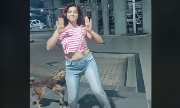  Dog Bites Girl While Doing Tik Tok Video ,dog Bites,girl,tik Tok,viral,tik Tok V-TeluguStop.com