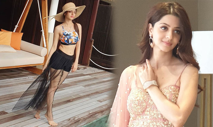 Actress Vedhika Latest Stunning Images-telugu Actress Photos Actress Vedhika Latest Stunning Images -  Actressvedhika Bi High Resolution Photo