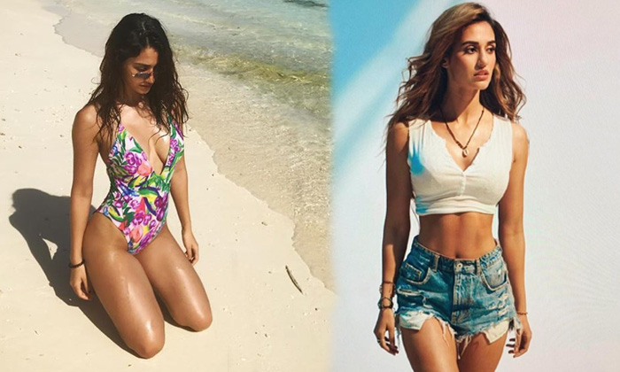 Actress Disha Patani Hot Images-telugu Actress Photos Actress Disha Patani Hot Images - Dishapatani  High Resolution Photo