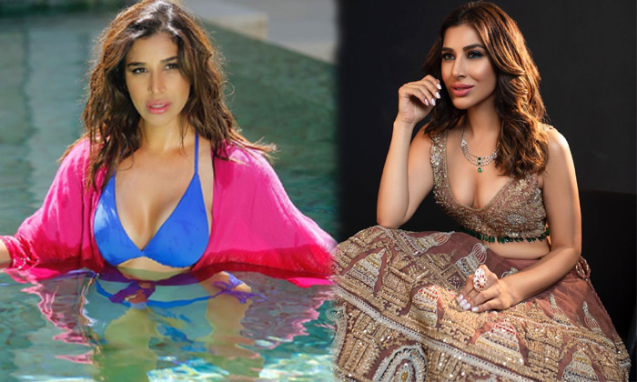 Actress Sophie Choudry Hot Stills-telugu Actress Photos Actress Sophie Choudry Hot Stills - Sophiechoudry  High Resolution Photo