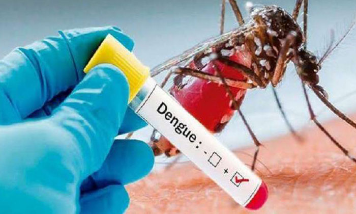 Telugu Dengue, Dengue Ups, Care, Tips, Latest-